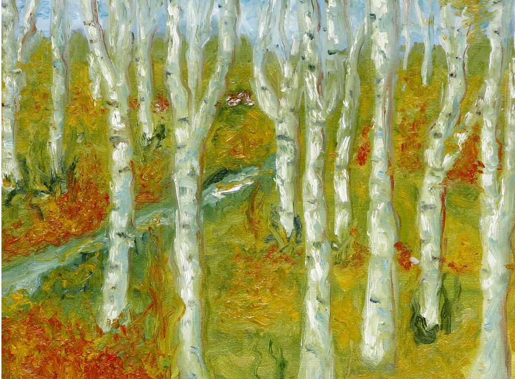 Birch Meadow